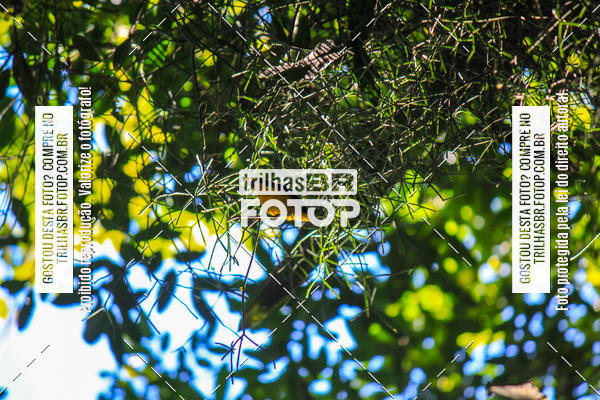 Buy your photos of the eventVolta do Pinheral on Fotop