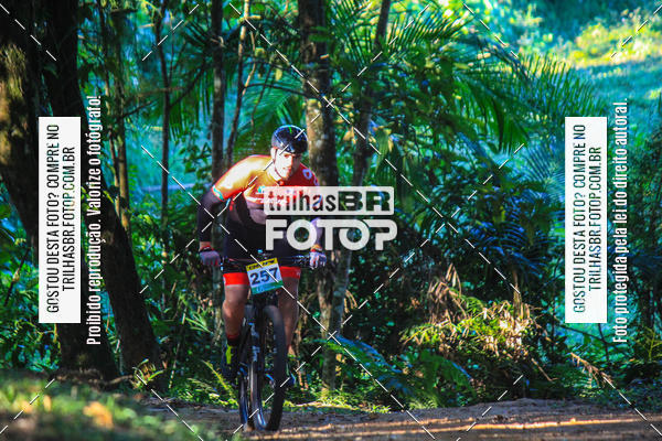 Buy your photos of the eventVolta do Pinheral on Fotop