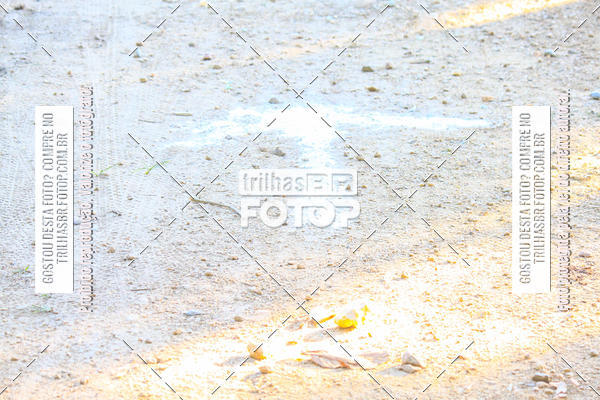 Buy your photos of the eventVolta do Pinheral on Fotop