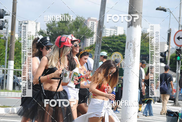 Buy your photos of the eventBloco Agrada Grego (Av Marqus de So Vicente) - 02/03/2019 on Fotop