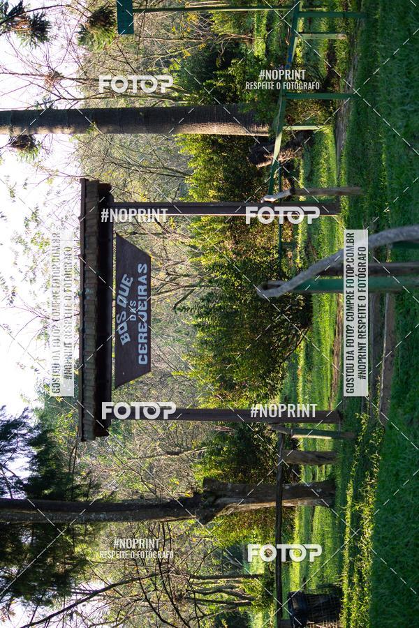 Acquista le foto dell'eventoCorrida Na��o Corinthiana in Fotop