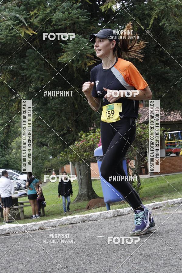 Buy your photos of the event15 Circuito Corridas Rusticas das Industrias - 1 Etapa - COPEL on Fotop