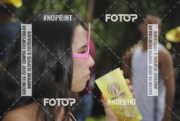 Buy your photos of the eventBloco Pinga Ni Mim - 04/03/2019 on Fotop