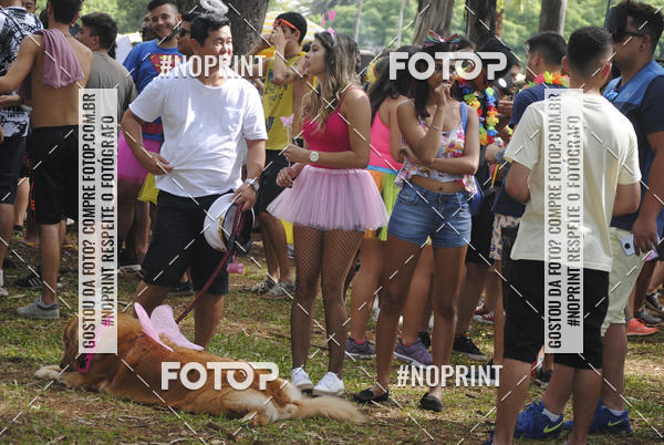 Buy your photos of the eventBloco Pinga Ni Mim - 04/03/2019 on Fotop