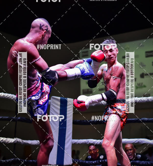 Buy your photos of the eventWAR Muay Thai Fight (10/03/2019) on Fotop