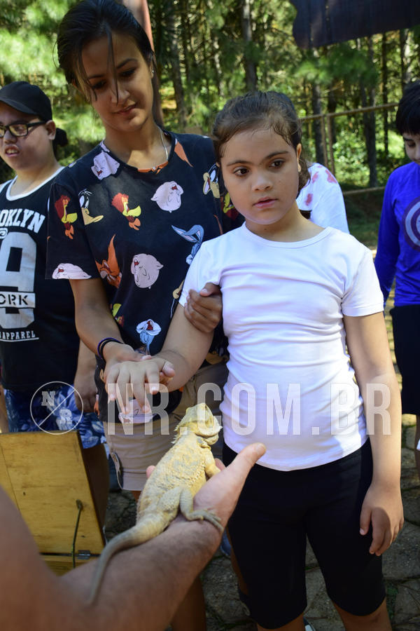 Buy your photos of the eventNR1 - Cl�ssico 07 a 10/03/19 on Fotop