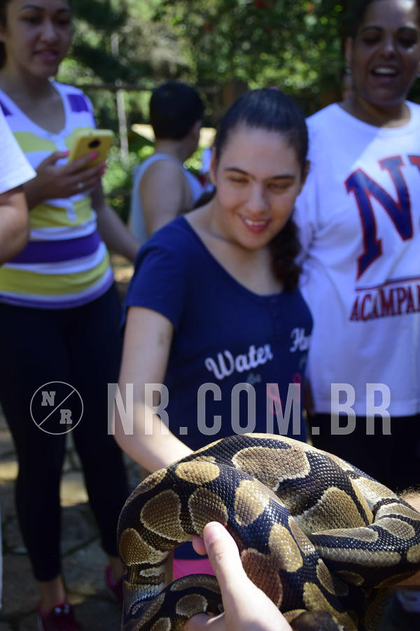 Buy your photos of the eventNR1 - Cl�ssico 07 a 10/03/19 on Fotop