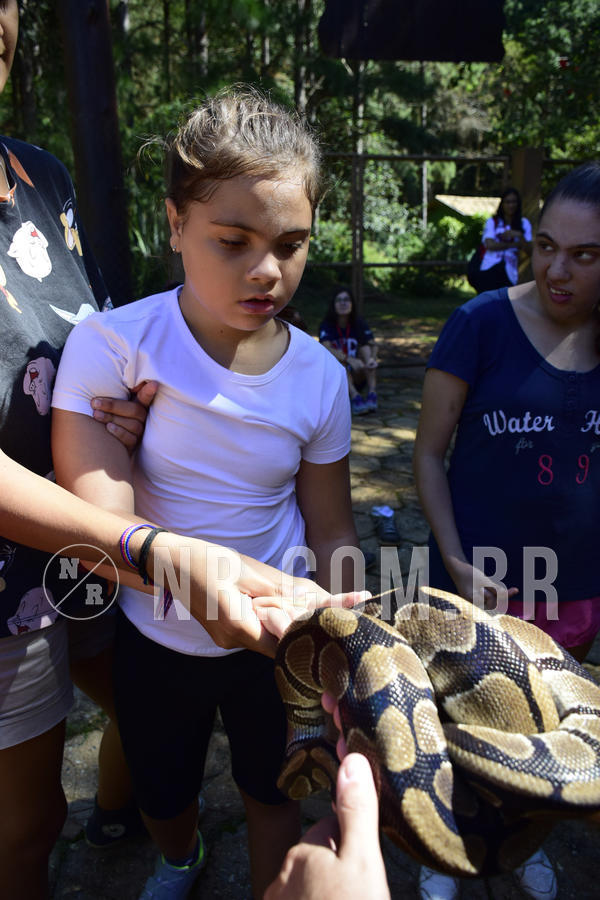 Buy your photos of the eventNR1 - Cl�ssico 07 a 10/03/19 on Fotop