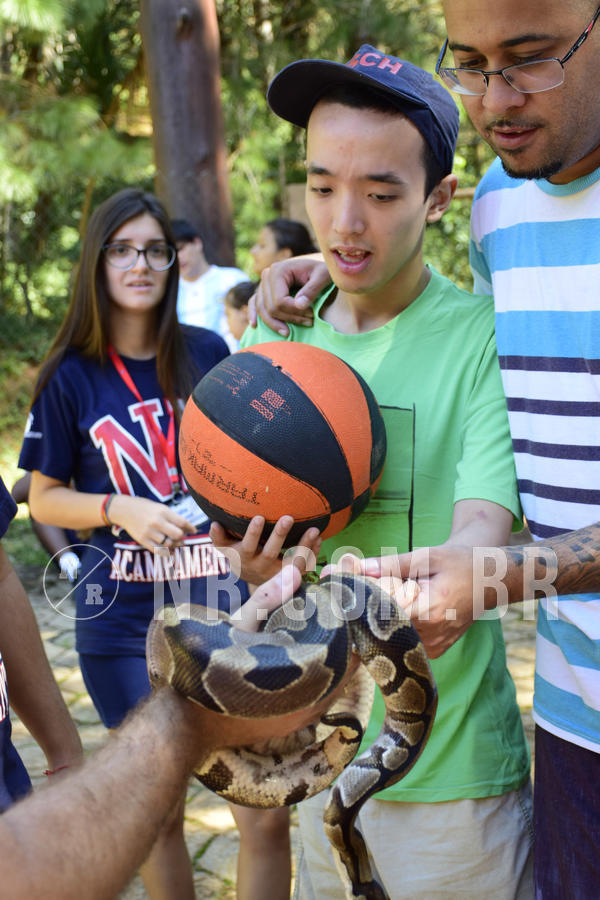 Buy your photos of the eventNR1 - Cl�ssico 07 a 10/03/19 on Fotop