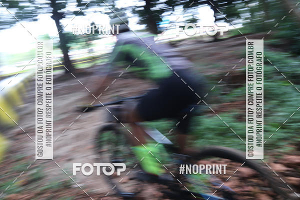 Buy your photos of the eventSHORT TRACK  2019 on Fotop