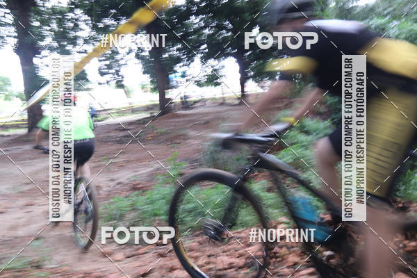 Buy your photos of the eventSHORT TRACK  2019 on Fotop