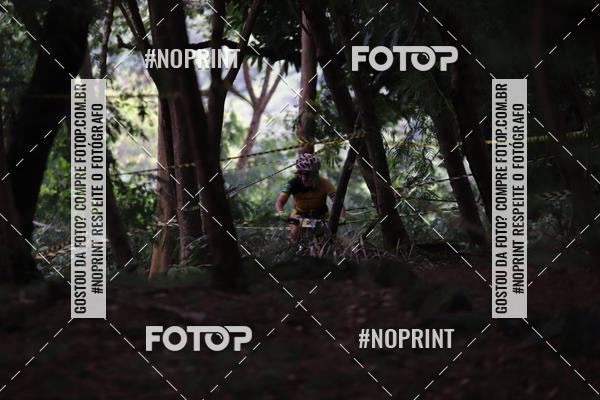 Buy your photos of the eventSHORT TRACK  2019 on Fotop