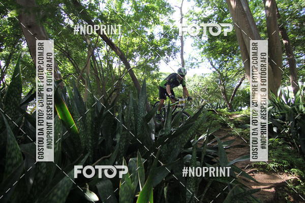 Buy your photos of the eventSHORT TRACK  2019 on Fotop