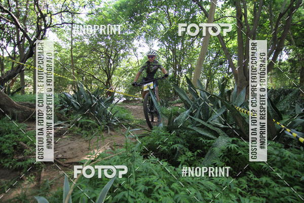 Buy your photos of the eventSHORT TRACK  2019 on Fotop