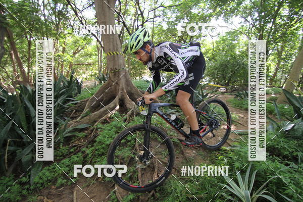 Buy your photos of the eventSHORT TRACK  2019 on Fotop