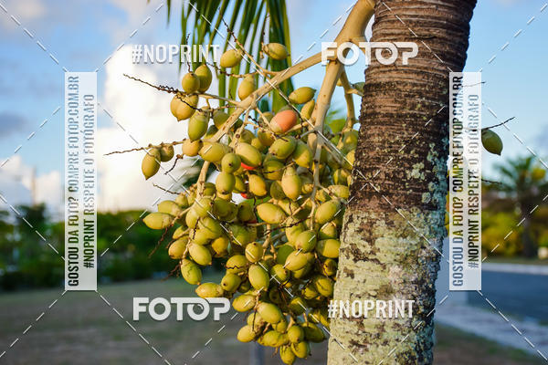 Buy your photos of the eventTreino no CAB on Fotop