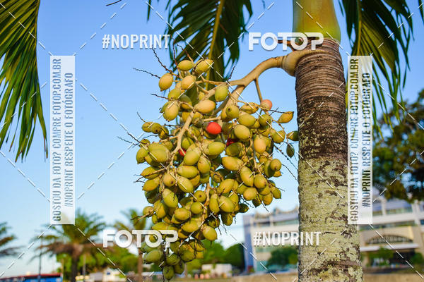 Buy your photos of the eventTreino no CAB on Fotop