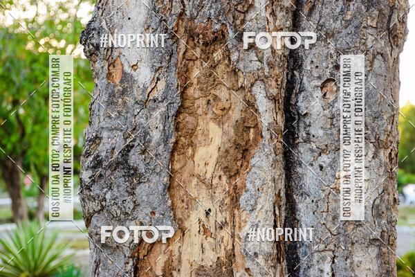 Buy your photos of the eventTreino no CAB on Fotop