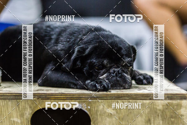 Buy your photos of the eventSaurus Open 2019 - 19.3 on Fotop