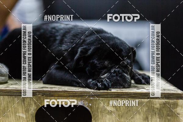 Buy your photos of the eventSaurus Open 2019 - 19.3 on Fotop