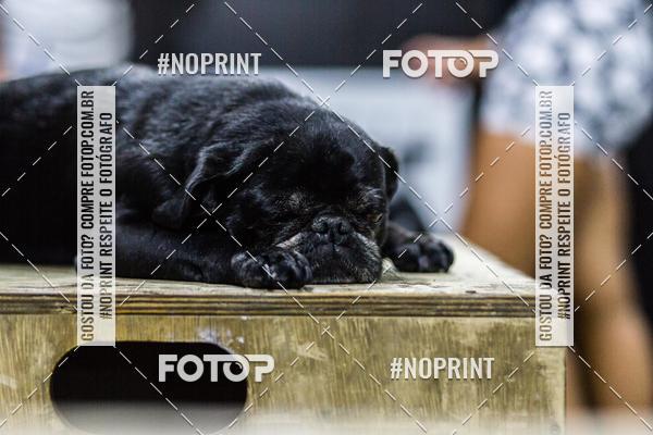 Buy your photos of the eventSaurus Open 2019 - 19.3 on Fotop