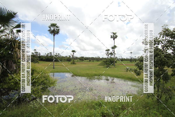 Buy your photos of the eventTROFU ENG. SOLON DE LUCENA on Fotop