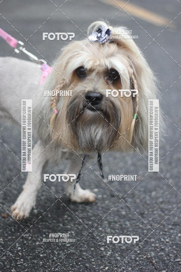 Buy your photos of the eventStadium Marathon - #paznofutebol on Fotop