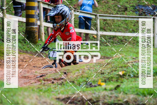 Buy your photos of the event1 Etapa Campeonato Catarinense de Bicicross Fcbx on Fotop