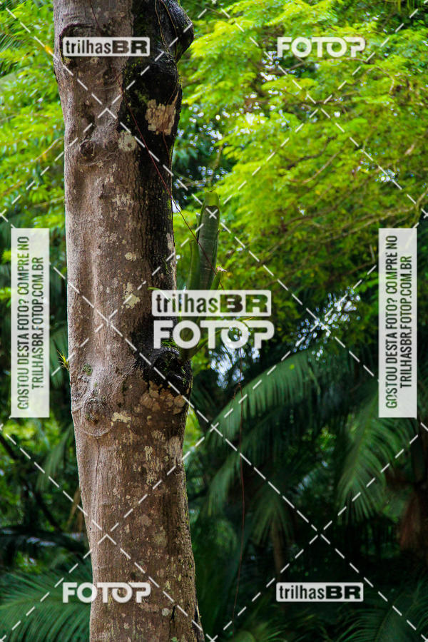 Buy your photos of the event1 Etapa Campeonato Catarinense de Bicicross Fcbx on Fotop