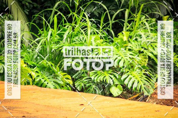 Buy your photos of the event1 Etapa Campeonato Catarinense de Bicicross Fcbx on Fotop