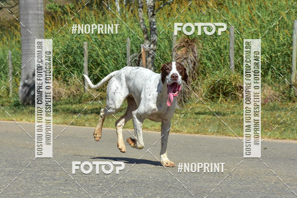 Buy your photos of the eventKTR  SERRA FINA 2019 on Fotop