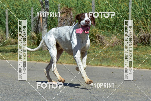 Buy your photos of the eventKTR  SERRA FINA 2019 on Fotop