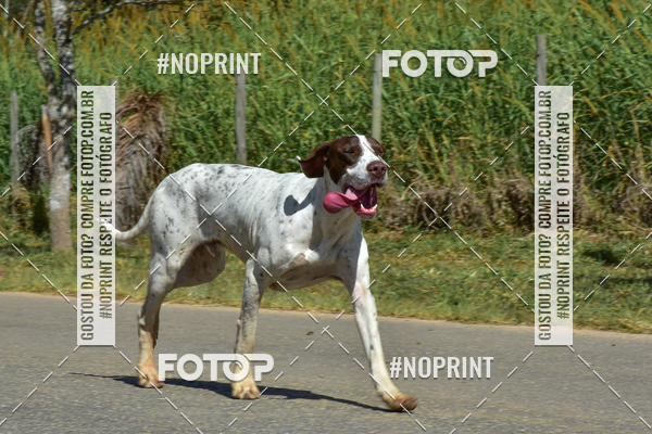 Buy your photos of the eventKTR  SERRA FINA 2019 on Fotop