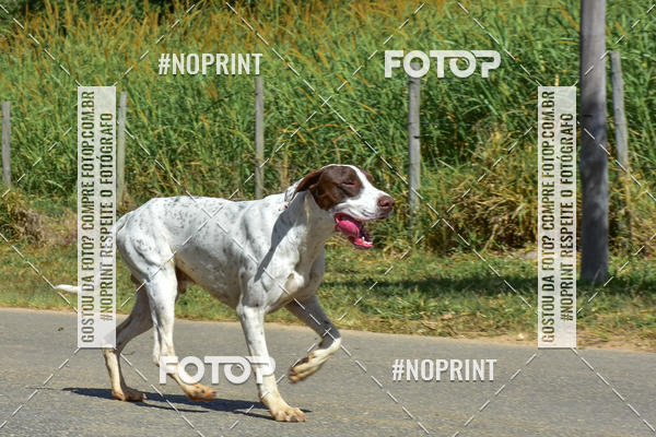 Buy your photos of the eventKTR  SERRA FINA 2019 on Fotop