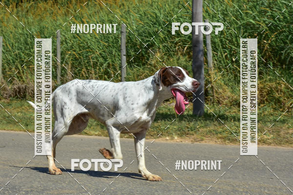 Buy your photos of the eventKTR  SERRA FINA 2019 on Fotop