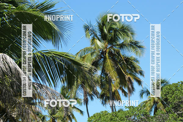 Buy your photos of the eventIRONMAN 70.3 MACEI 2019 on Fotop