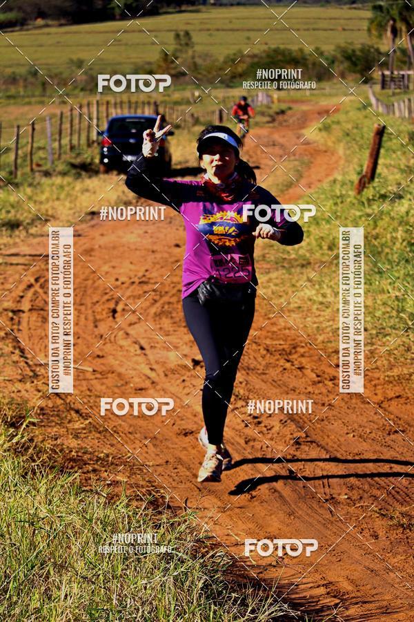 Buy your photos of the eventWolf Series - Botucatu on Fotop