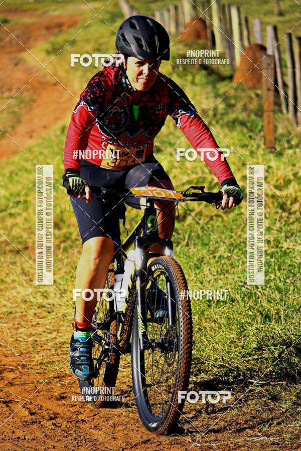 Buy your photos of the eventWolf Series - Botucatu on Fotop