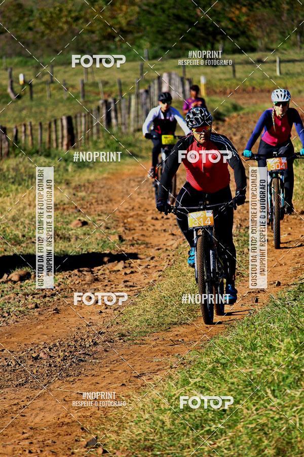 Buy your photos of the eventWolf Series - Botucatu on Fotop