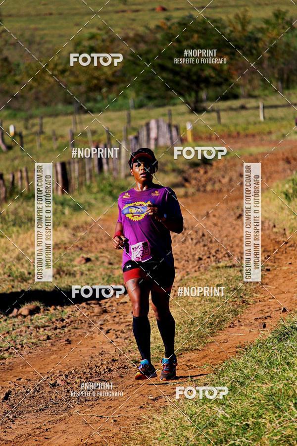 Buy your photos of the eventWolf Series - Botucatu on Fotop