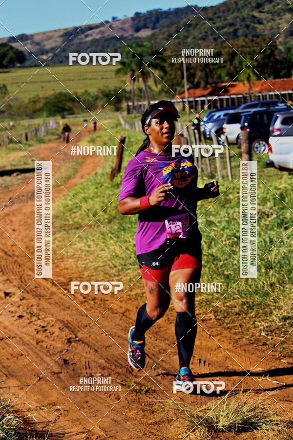 Buy your photos of the eventWolf Series - Botucatu on Fotop