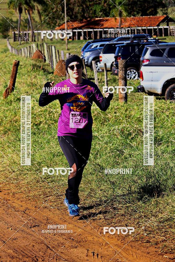 Buy your photos of the eventWolf Series - Botucatu on Fotop