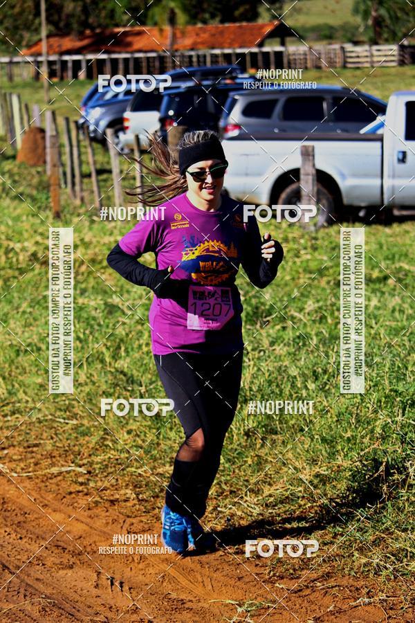 Buy your photos of the eventWolf Series - Botucatu on Fotop