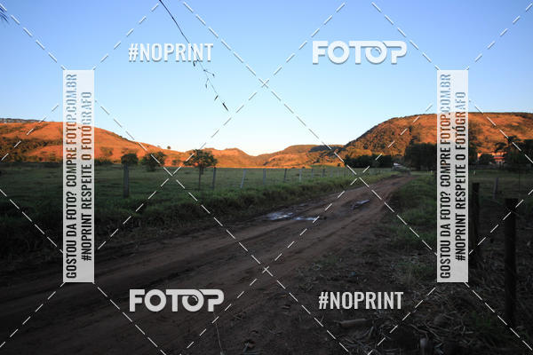 Buy your photos of the eventWolf Series - Botucatu on Fotop