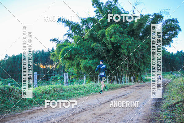 Buy your photos of the eventWolf Series - Botucatu on Fotop