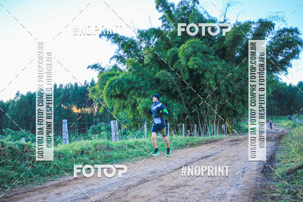 Buy your photos of the eventWolf Series - Botucatu on Fotop