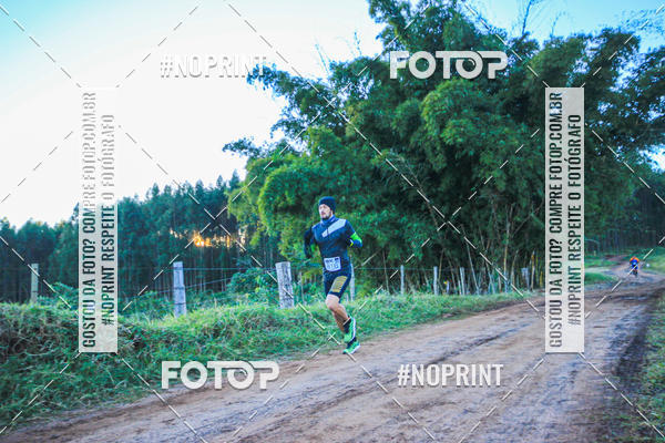 Buy your photos of the eventWolf Series - Botucatu on Fotop