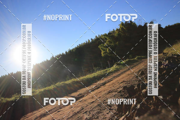 Buy your photos of the eventWolf Series - Botucatu on Fotop