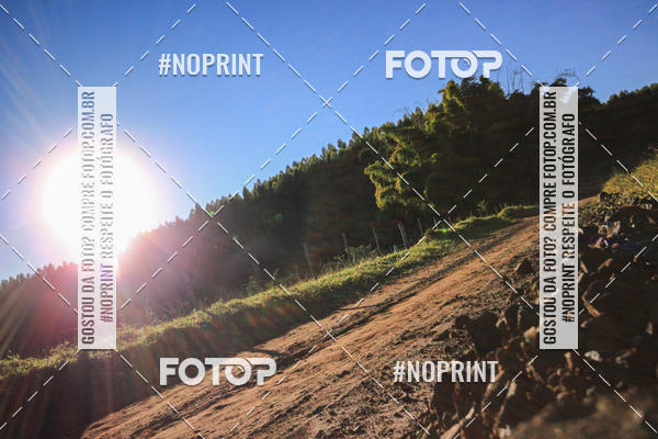 Buy your photos of the eventWolf Series - Botucatu on Fotop