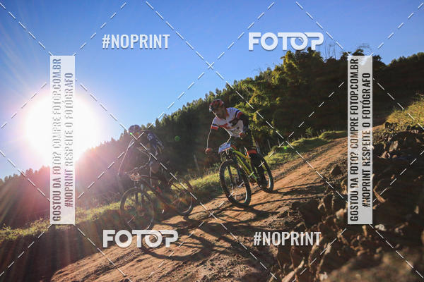 Buy your photos of the eventWolf Series - Botucatu on Fotop